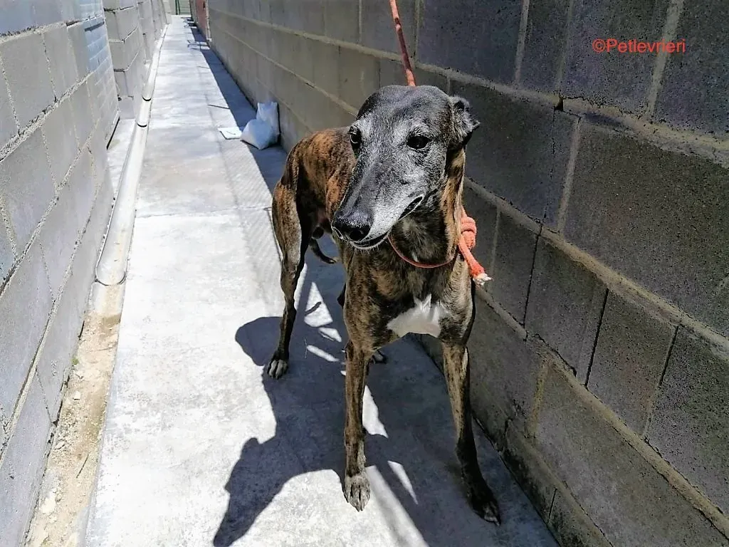 121626237 2455637098062946 2937735955715026131 n