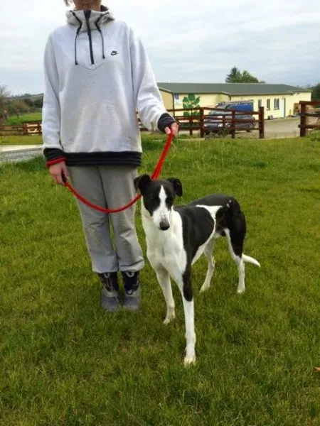 12168052 1733180580243255 1395425670 n