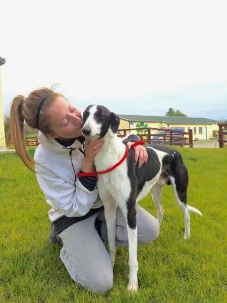 12170164 1733180540243259 1609619889 n 2