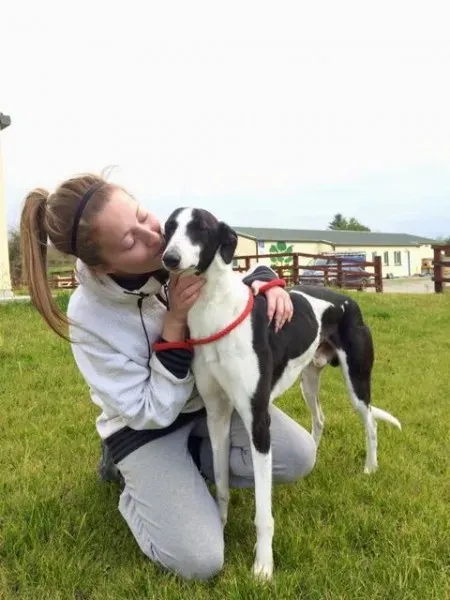 12170164 1733180540243259 1609619889 n