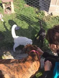 12177920 927331444025126 1764619171 n