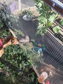 12178194 927331270691810 1753614726 n