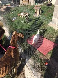 12178194 927331517358452 2013424708 n