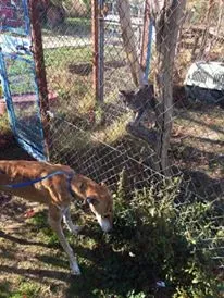 12179068 927580307333573 65613531 n