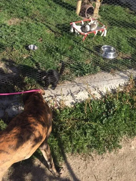 12179291 927331450691792 801879677 n