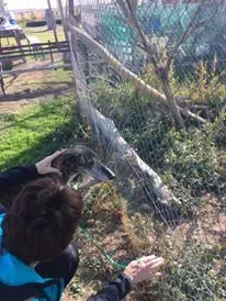 12179420 927580217333582 728527154 n