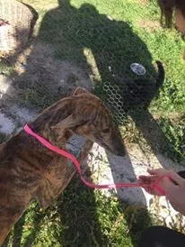 12179666 927331480691789 1544384495 n