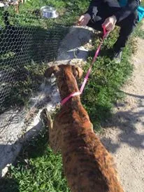 12179846 927331484025122 1391165028 n