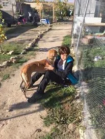 12179940 927580297333574 567322364 n