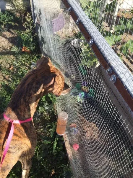 12181898 927331224025148 1281160682 n