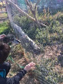 12182025 927580200666917 722596271 n