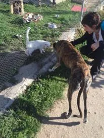 12182131 927580210666916 715721459 n