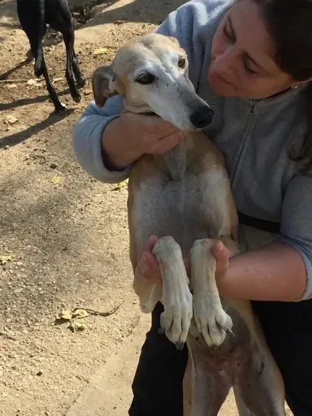 12182217 926489527442651 698206078 n