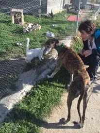 12182321 927580187333585 419457869 n