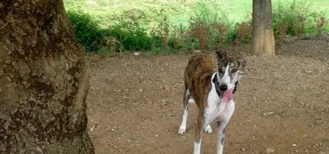 12182449 10205405223906377 140687833531044508 o 640x300