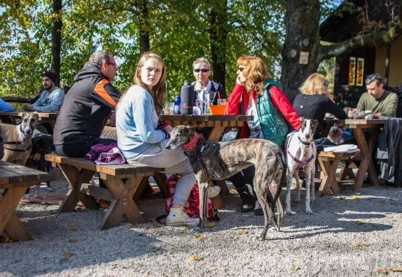 12182496 177496439257057 5047679944297979691 o