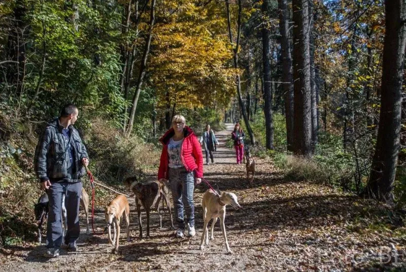 12182585 177495859257115 7365079652716982573 o