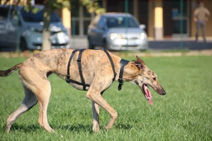 12182638 911915688892287 6593959468157071123 o