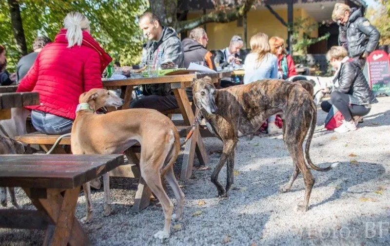 12182709 177495849257116 587873418448860312 o