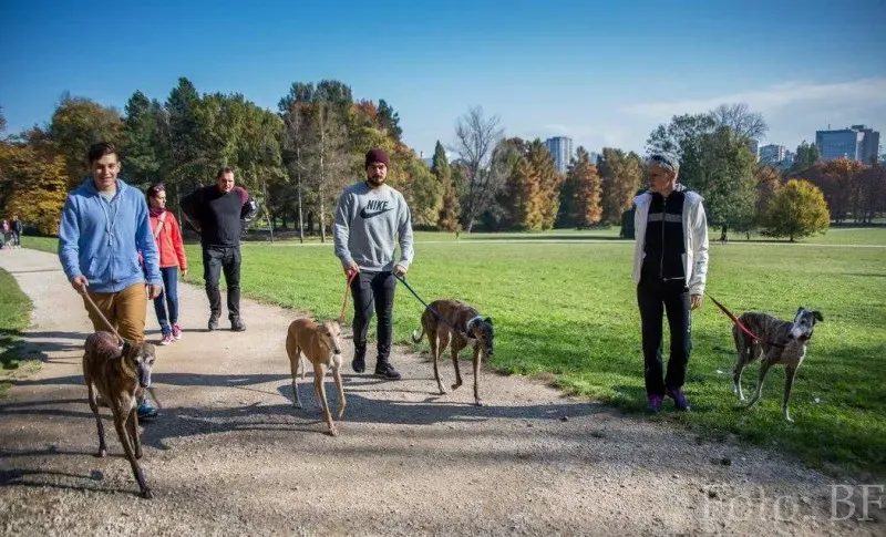 12182887 177495895923778 6315091155417368307 o