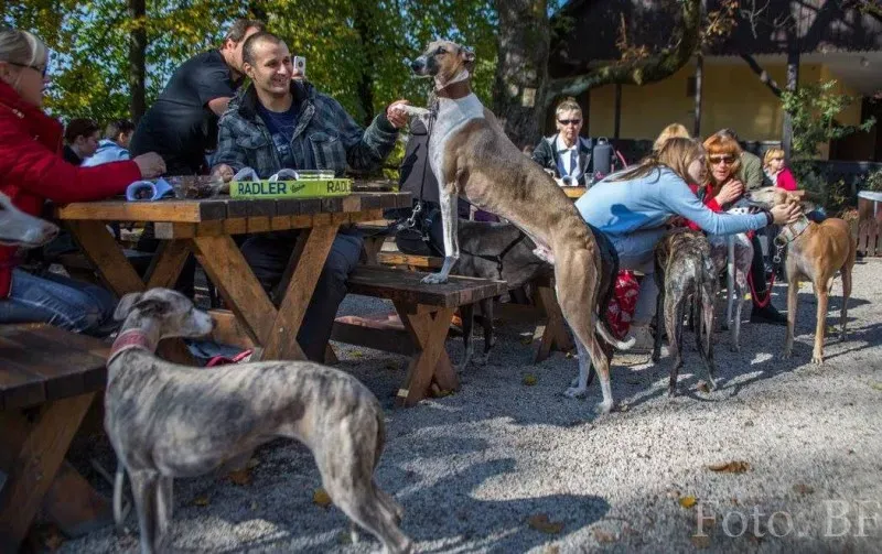 12183732 177496672590367 1843524983902285483 o