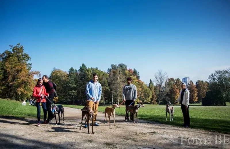 12183791 177496415923726 1781921871137131072 o