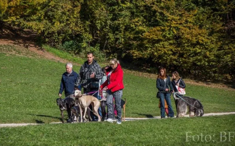 12184000 177495912590443 5235600437955112200 o