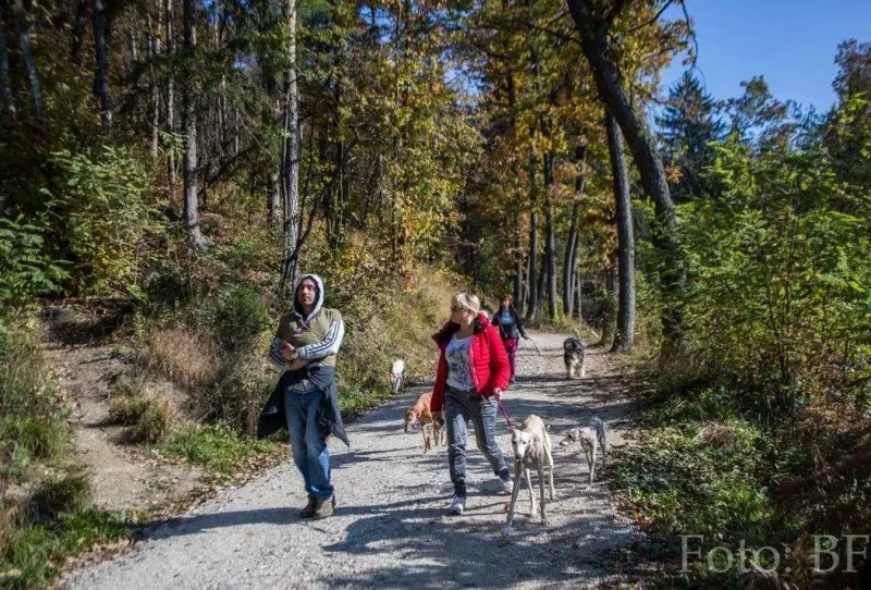 12184254 177496022590432 2067219477247306802 o