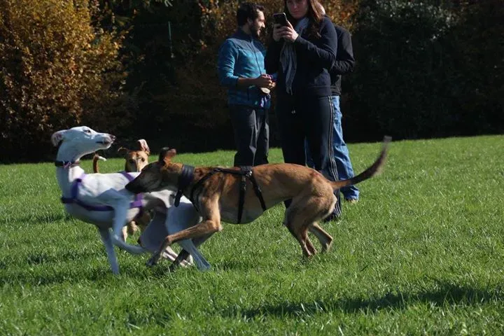 12185047 911914482225741 6199865267146673099 o