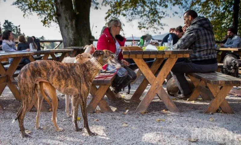 12185251 177496019257099 4324266411462114057 o