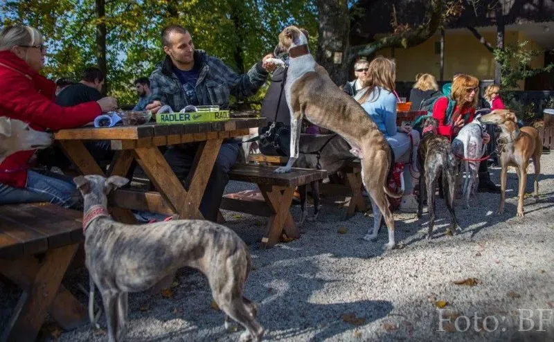 12185291 177495922590442 5048874861346406090 o