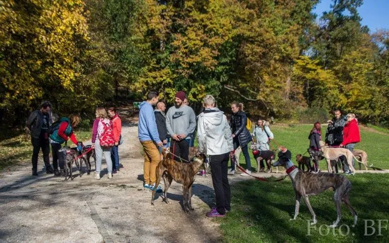 12185414 177496585923709 886723265792690866 o