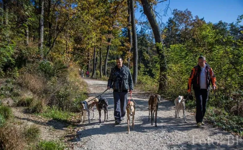 12186681 177496009257100 6226076322147743982 o