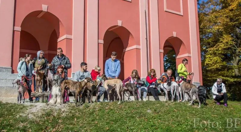 12186827 177495969257104 5300825298654410298 o