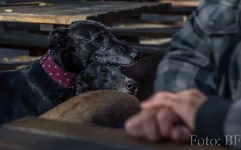 12186833 177496609257040 1920046110456349264 o