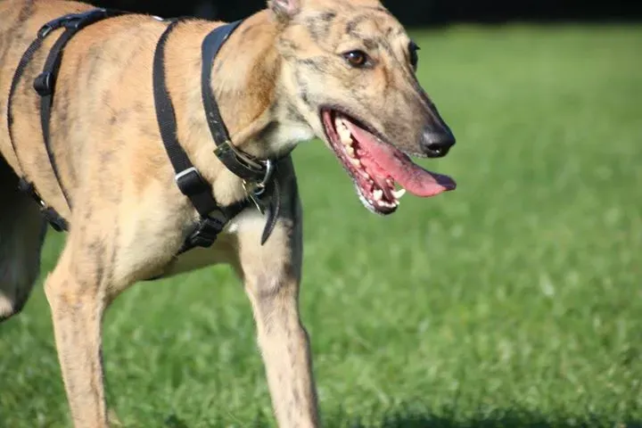 12187975 911915595558963 8429756558120297041 o