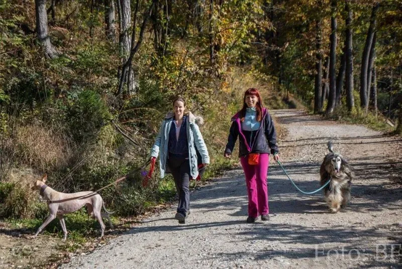 12188042 177495852590449 6392888639733849451 o