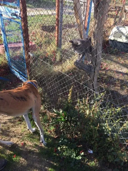 12188441 927580310666906 1119628981 n