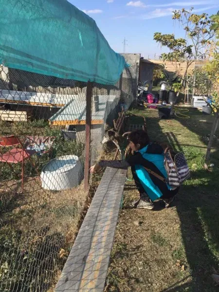 12188509 927580244000246 1366712352 n