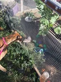 12188554 927331234025147 615169649 n