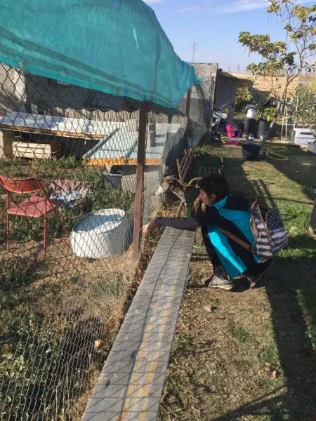 12188625 927580230666914 1894714477 n