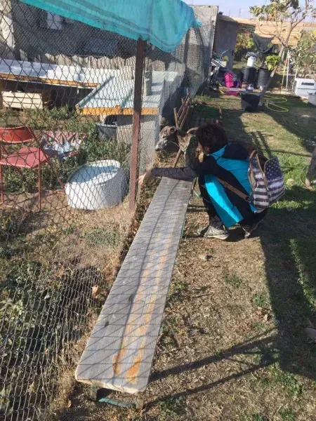 12188630 927580247333579 1508504396 n