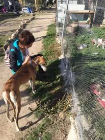 12188769 927580277333576 427804616 n