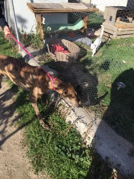 12188776 927331464025124 666203126 n