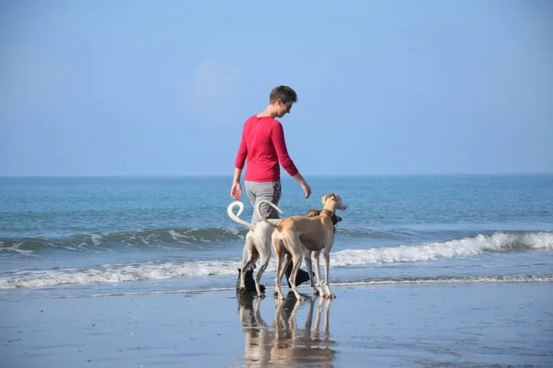 12189174 1485284918440026 5821388749043622748 n