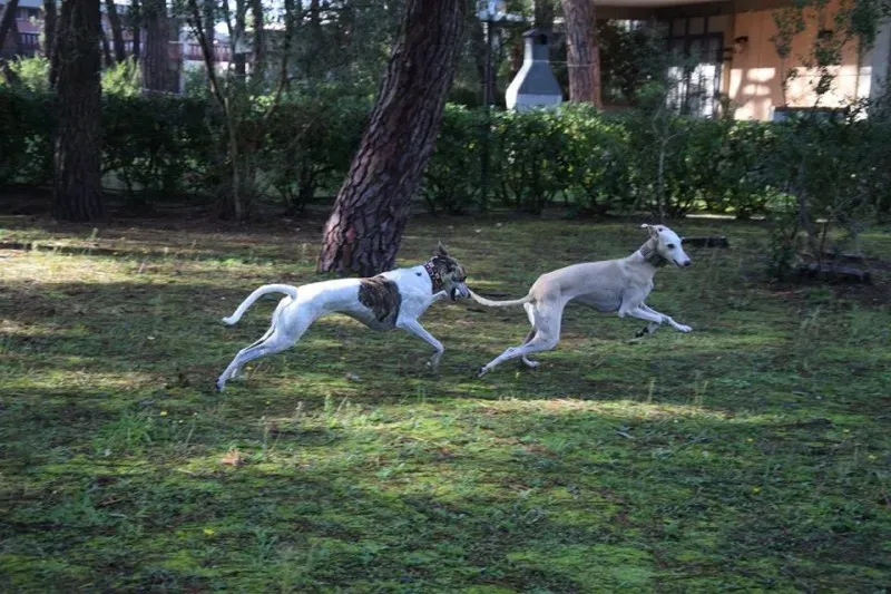 12189524 1485284678440050 5031071375274344482 n