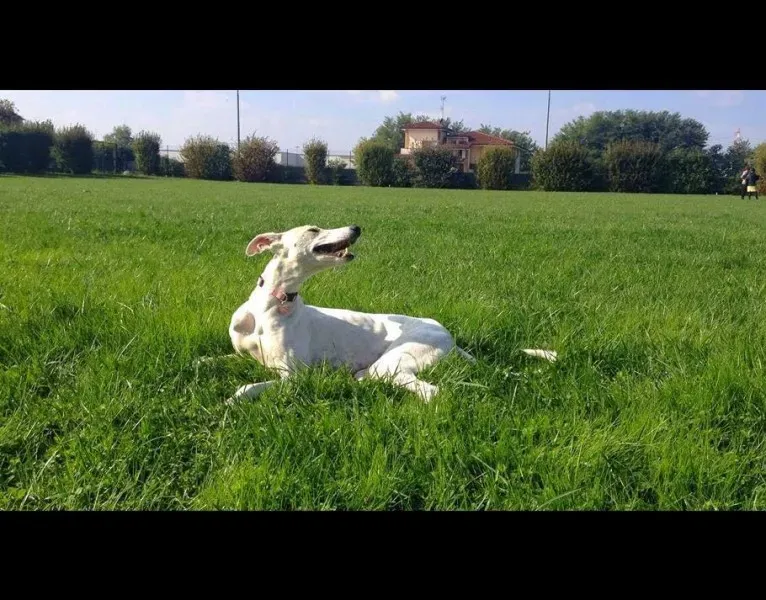 12190083 910181542399035 6027705363727863583 n