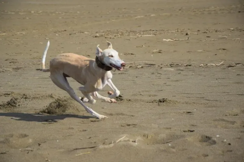 12191682 1485284888440029 8732549377020741726 n