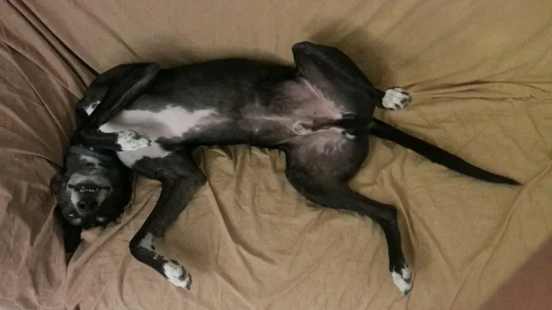 12193602 10207387700268544 4174511279124629375 n