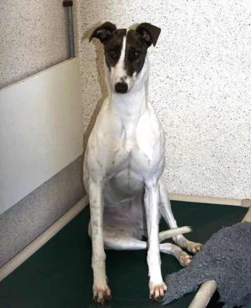 12194608 1110197738997924 8326391425881980988 o